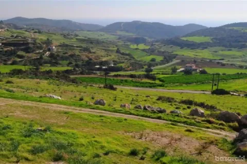 14100m² Land in Parekklisia, Cyprus No. 41486 1