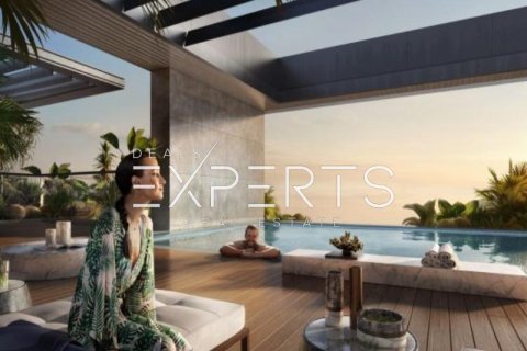 47.8m² Apartment on the Saadiyat Cultural District, UAE No. 10528 12