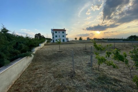 5 bedrooms Villa in Central Macedonia, Greece No. 48477 9