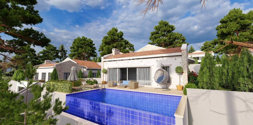 4+1 Villa in Fethiye, Turkey No. 12444