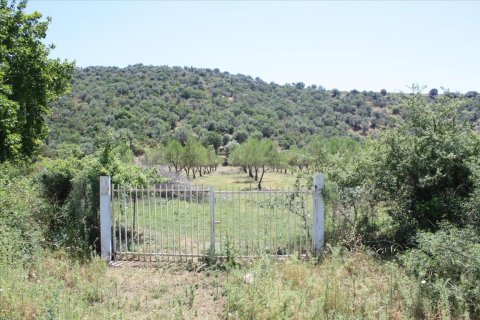 8000m² Land in Chalkidiki, Greece No. 59101 5