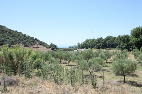 8000m² Land in Chalkidiki, Greece No. 59101 1