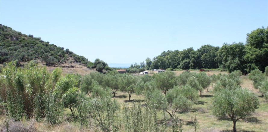 8000m² Land in Chalkidiki, Greece No. 59101