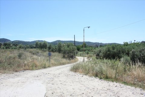 3500m² Land en Chalkidiki, Greece No. 59102 1