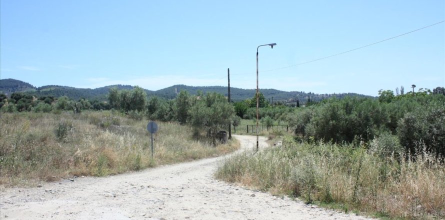 3500m² Land in Chalkidiki, Greece No. 59102