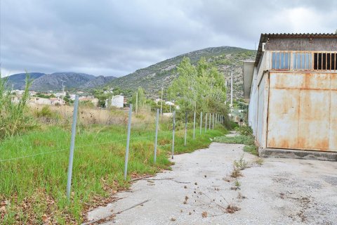 360m² Negocio en Marathon, Greece No. 59385 2