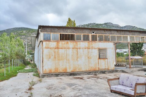 360m² Negocio en Marathon, Greece No. 59385 3