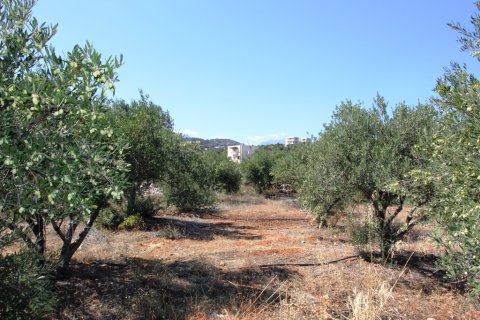 4800m² Land in Agios Nikolaos, Greece No. 59387 3