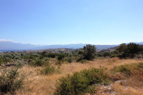 4800m² Land in Agios Nikolaos, Greece No. 59387 2