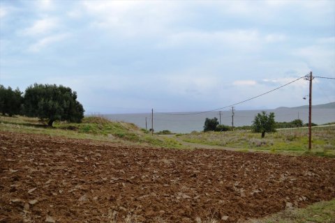 8404m² Land in Chalkidiki, Greece No. 59380 2