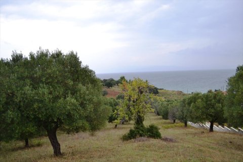 8404m² Land en Chalkidiki, Greece No. 59380 6