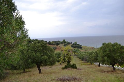 8404m² Land à Chalkidiki, Greece No. 59380 1