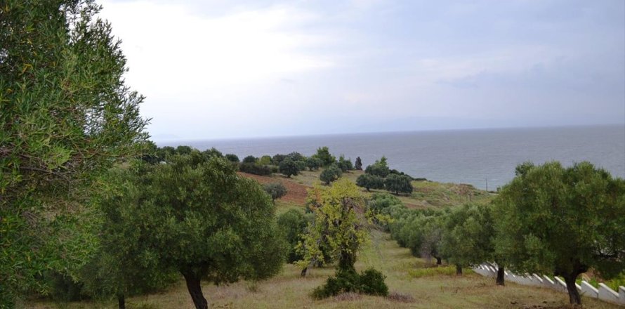 8404m² Land in Chalkidiki, Greece No. 59380