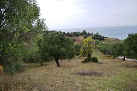 8404m² Land in Chalkidiki, Greece No. 59380 8