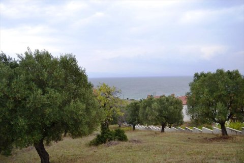 8404m² Land in Chalkidiki, Greece No. 59380 7