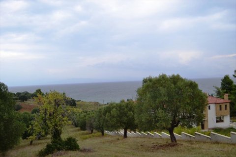 8404m² Land in Chalkidiki, Greece No. 59380 5