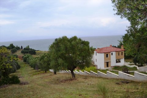 8404m² Land à Chalkidiki, Greece No. 59380 9