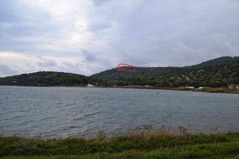 5300m² Land in Chalkidiki, Greece No. 59379 1