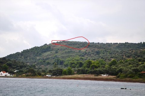 5300m² Land in Chalkidiki, Greece No. 59379 4