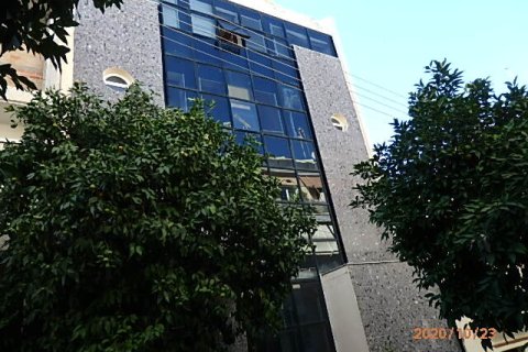 391m² Building in Neo Psychiko, Greece No. 55582 6