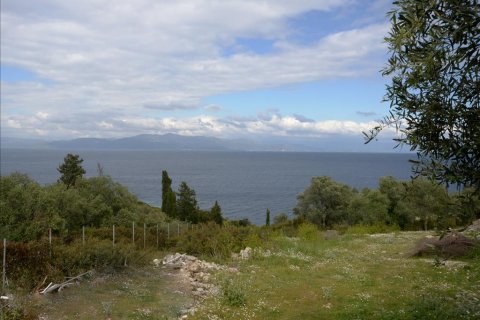 7000m² Land à Corfu, Greece No. 60395 3