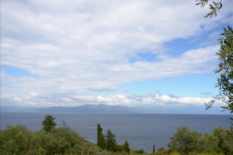 7000m² Land en Corfu, Greece No. 60395 5