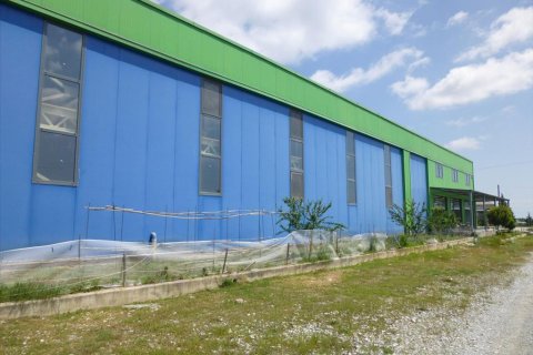 2800m² Business in Pieria, Greece No. 60394 3