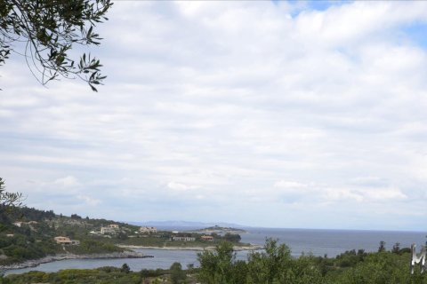 6374m² Land en Corfu, Greece No. 60396 3