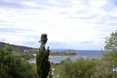 6374m² Land à Corfu, Greece No. 60396 2