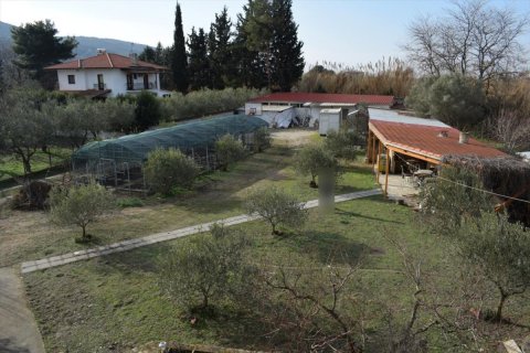 5 bedrooms Villa in Thessaloniki, Greece No. 50605 9