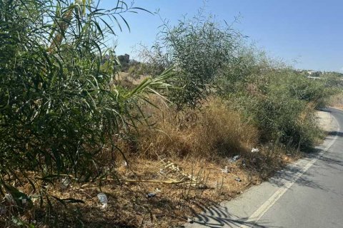 3332m² Land à Limassol, Cyprus No. 64236 8