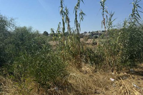 3332m² Land à Limassol, Cyprus No. 64236 9