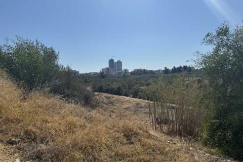 3332m² Land à Limassol, Cyprus No. 64236 12