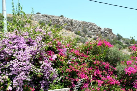 3 chambres Villa à Athens, Greece No. 48448 4