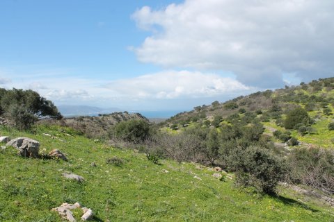 10800m² Land in Neapoli, Greece No. 57307 2