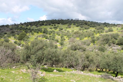 10800m² Land in Neapoli, Greece No. 57307 8