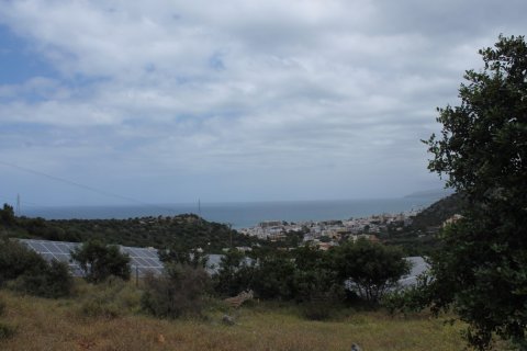 4000m² Land in Malia, Greece No. 57313 1