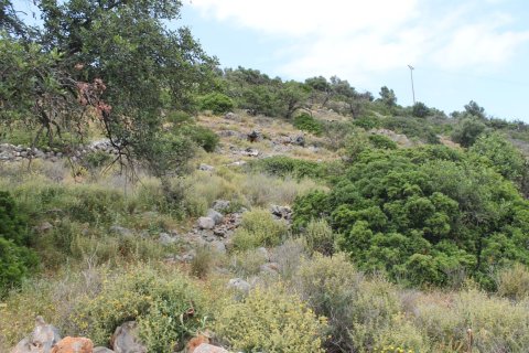 4000m² Land in Malia, Greece No. 57313 2