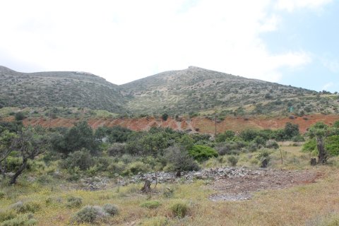 4000m² Land in Malia, Greece No. 57313 4