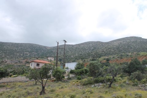 4000m² Land in Malia, Greece No. 57313 5