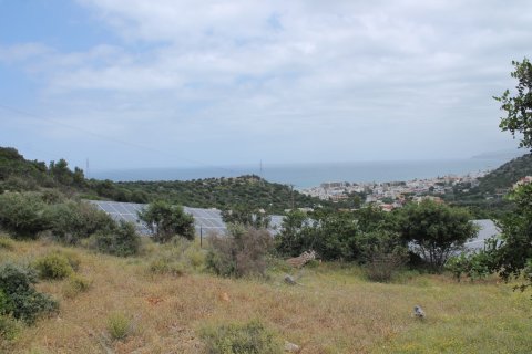 4000m² Land en Malia, Greece No. 57313 3