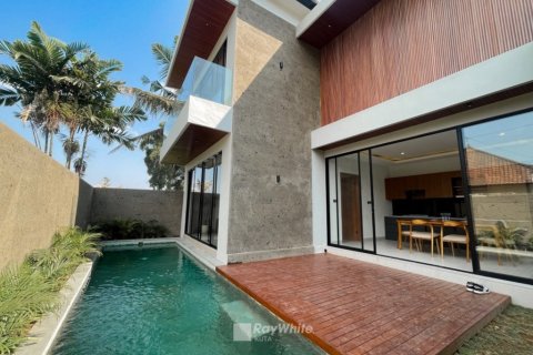 3 dormitorios Villa en Canggu, Indonesia No. 23348 1