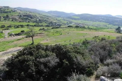 14100m² Land in Parekklisia, Cyprus No. 36308 3