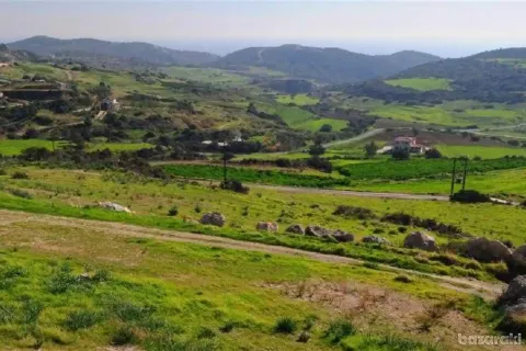 14100m² Land in Parekklisia, Cyprus No. 36308 4