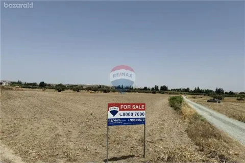 12965m² Land à Livadia, Cyprus No. 36309 3