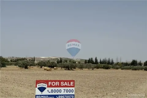 12965m² Land en Livadia, Cyprus No. 36309 2