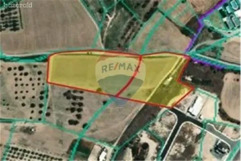 12965m² Land à Livadia, Cyprus No. 36309 4