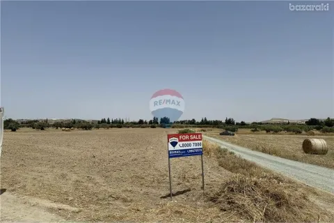 12965m² Land en Livadia, Cyprus No. 36309 1