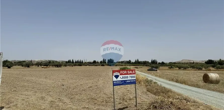 12965m² Land en Livadia, Cyprus No. 36309