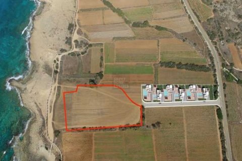 14172m² Land in Ayia Napa, Cyprus No. 35386 3